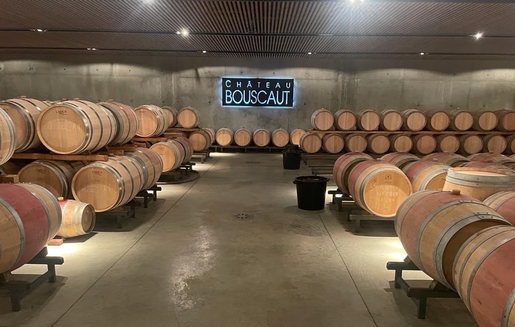 Château Bouscaut – Grand Cru Classé mang đậm tinh thần Pessac-Léognan