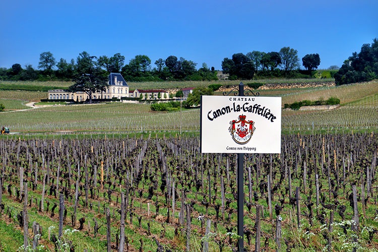 Château Canon – Sự thanh lịch cổ điển của Saint-Émilion