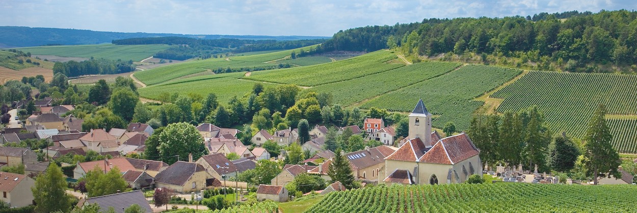 Champagne Valley