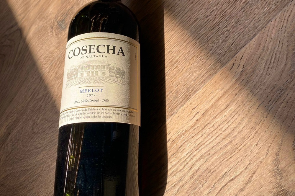 Tarapacá Cosecha Merlot – Vang đỏ Chile mềm mại, dễ tiếp cận từ Central Valley