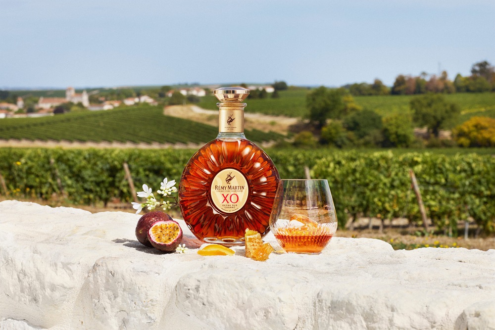 remy martin xo – bieu tuong cognac fine champagne cua nuoc phap