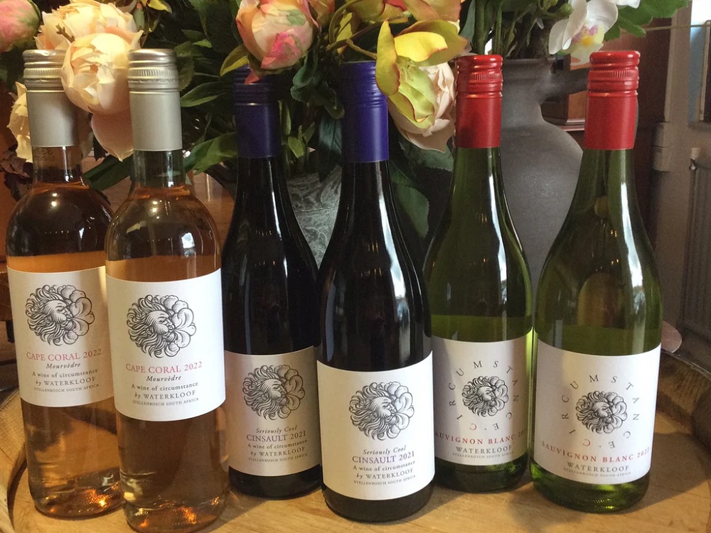 kham pha cac dong vang nam phi cua waterkloof va gabriëlskloof – hanh trinh tu vung dat cape den ly ruou cua ban