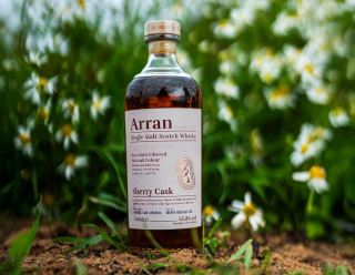 whisky arran phu hop voi nguoi moi choi khong