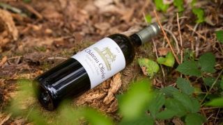 chateau olivier – dau an lich su va thien nhien giua long pessac leognan