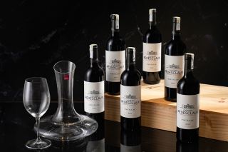 chateau pedesclaux – hanh trinh chuyen minh cua mot bieu tuong pauillac hien dai