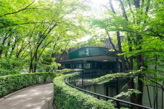 hakushu distillery – nha chung cat giua rung xanh cua nhat ban