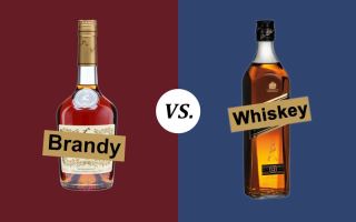 nguoi uong whisky co nen thu brandy khong