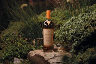 the macallan amber meadow – huong dong co scotland trong the gioi whisky