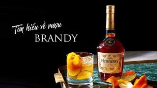 brandy – tinh hoa ruou chung cat tu trai cay