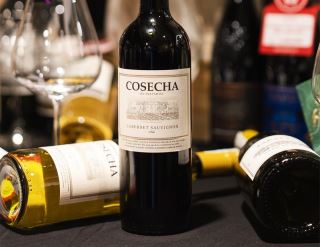 tarapaca cosecha cabernet sauvignon – vang do chile de uong tu central valley