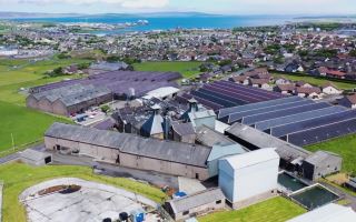 highland park – di san bac au va tinh than viking trong tung giot whisky