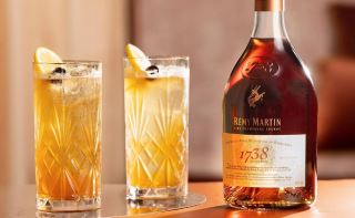 remy martin 1738 accord royal – lua chon can bang giua gia va trai nghiem