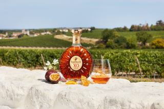 remy martin xo – bieu tuong cognac fine champagne cua nuoc phap