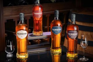 Nên chọn Tamdhu hay Glenlivet? So sánh hai phong cách whisky Speyside