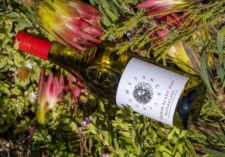 waterkloof – nha lam vang biodynamic noi bat cua nam phi